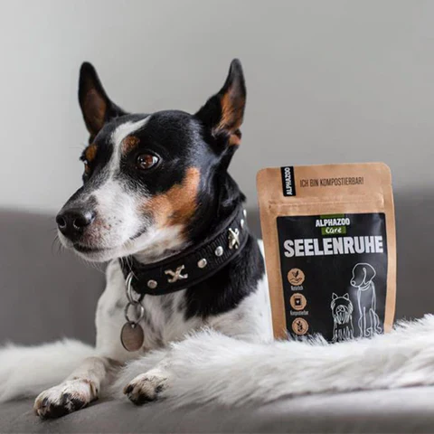 Ge din hund en bättre vardag med hälsosamt foder