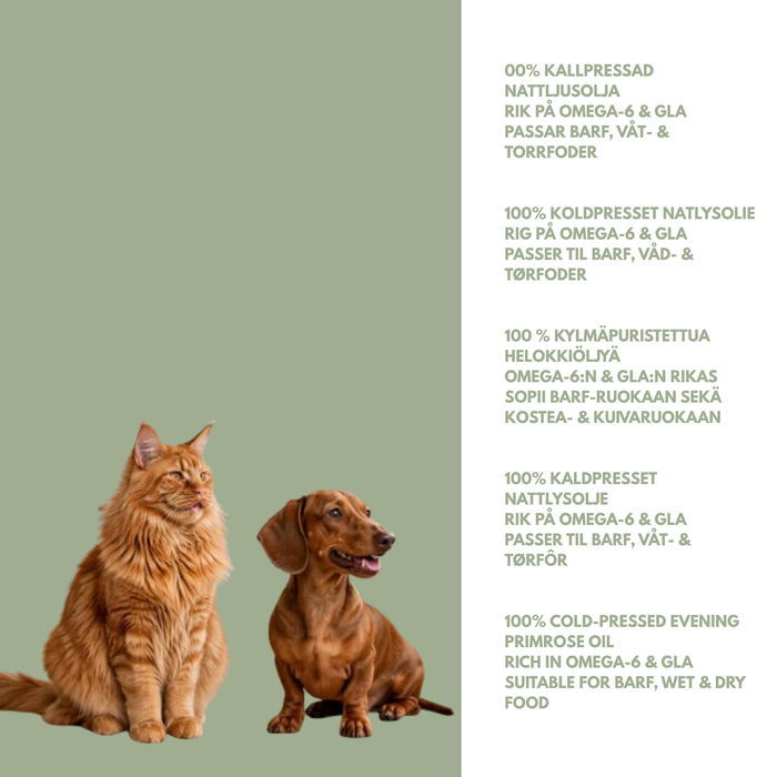 Evening primrose oil for dogs and cats – Edible plant-based skin and coat treatment