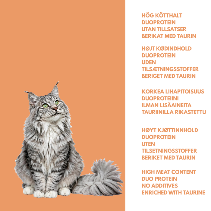 Måltid med and og kylling til katt – smakfullt våtfôr til katt
