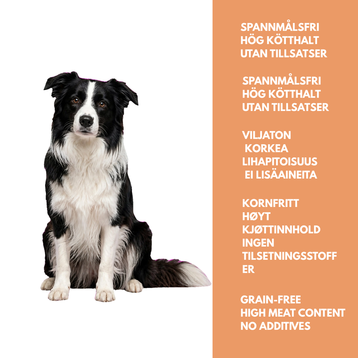 Nautapata – Herkullinen märkäruoka koirille