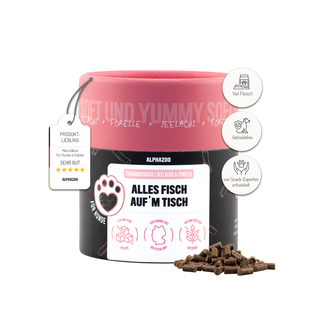Hund - Dagliga Behov