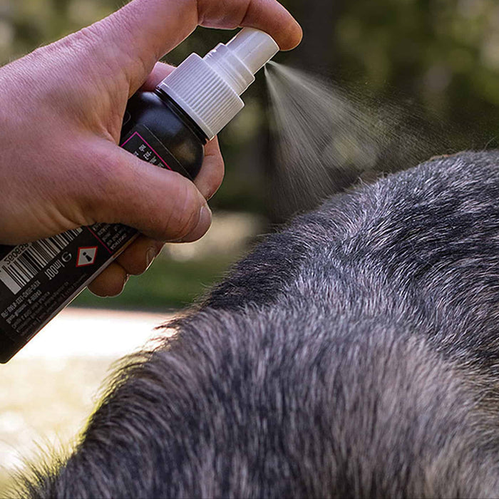 Kvalsterspray – Optimalt skydd mot kvalster för ditt husdjur