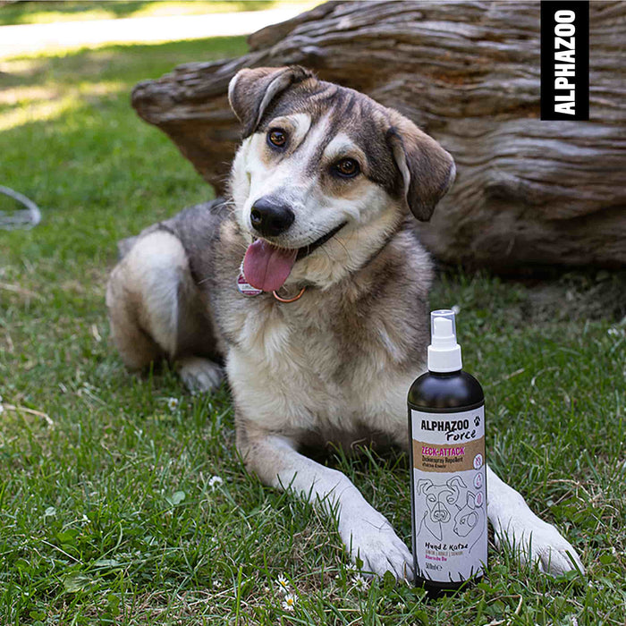 Fästingspray för hund – Naturligt och kraftfullt skydd mot fästingar och andra parasiter